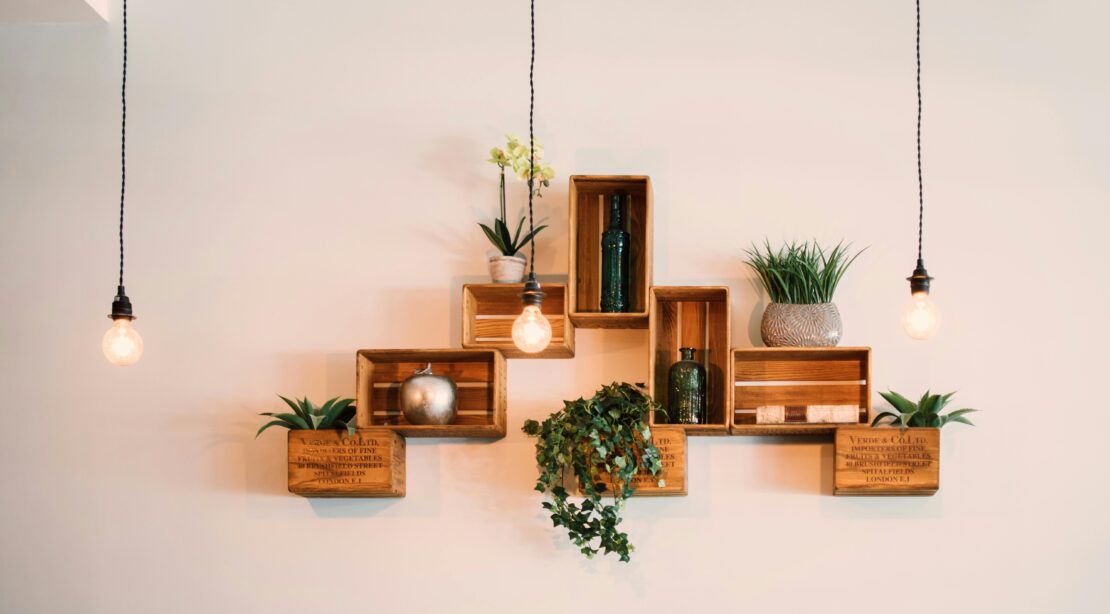 Contemporary wooden shelves with plants and decor, illuminated by hanging lights.