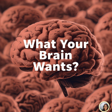 The Psychology of 'Refuge': How to Arrange Your Living Room for How Humans Actually Sit